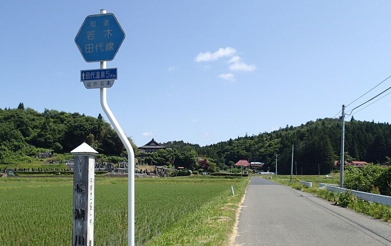 P6130006 - コピー