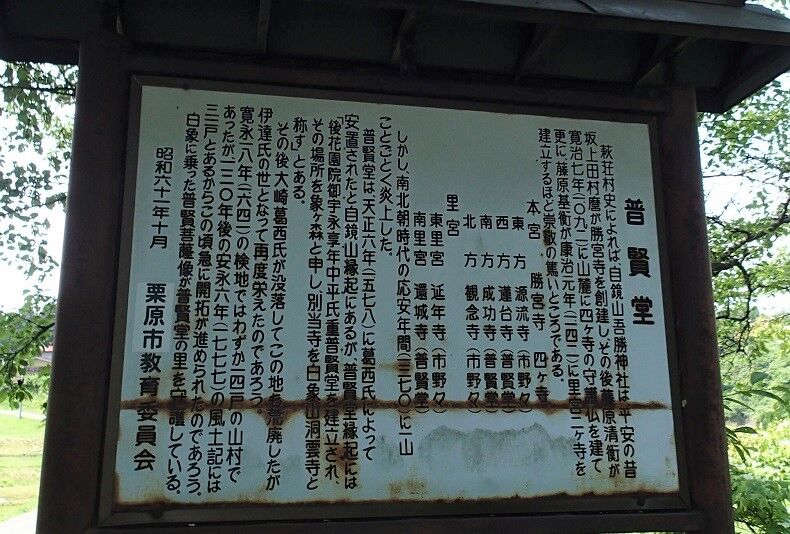 P6100035 - コピー