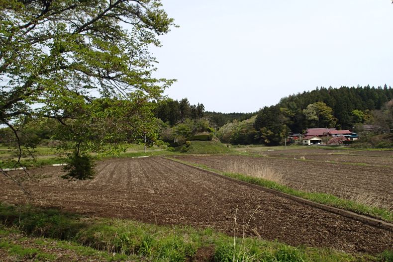 岩出13