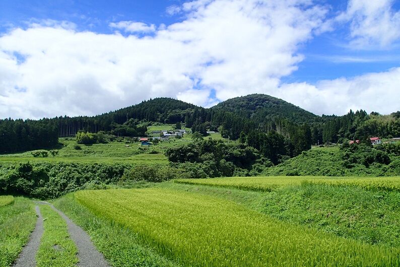 P8170102 - コピー