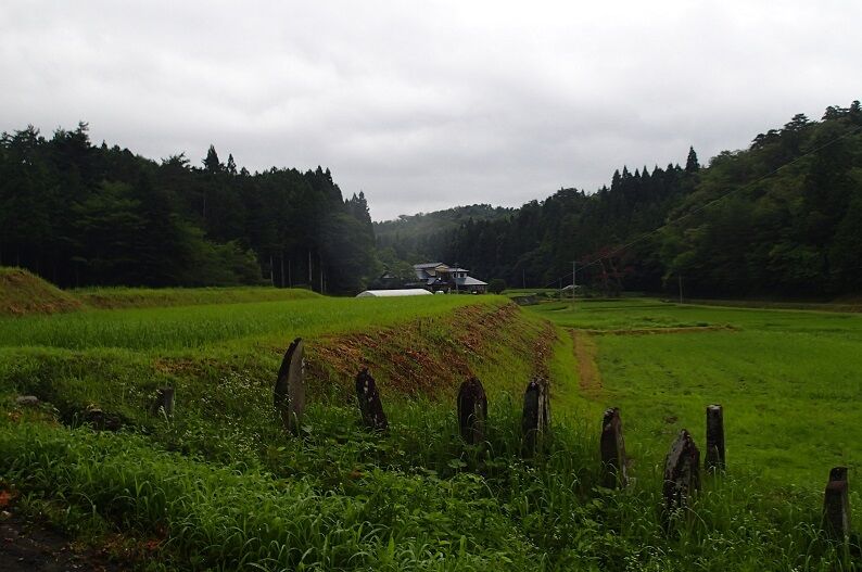 P7110016 - コピー