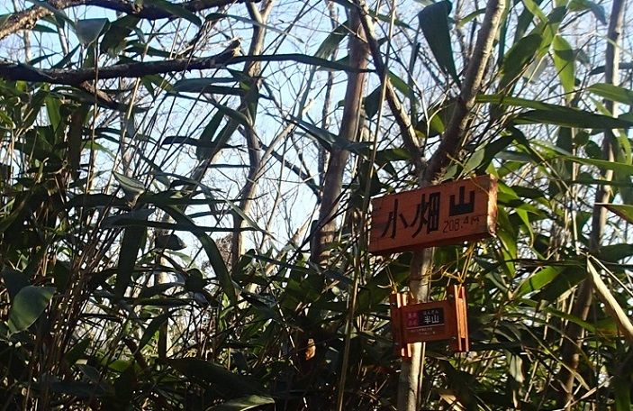 P3270004 - コピー