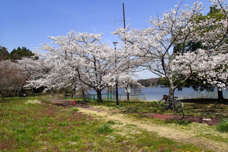 平１３