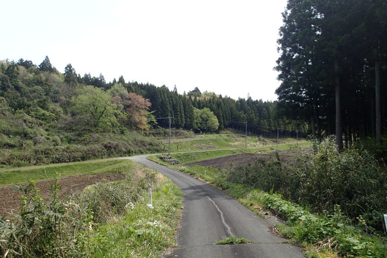 岩出24