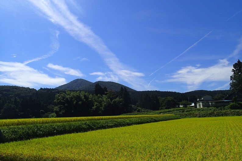 P9140009 - コピー
