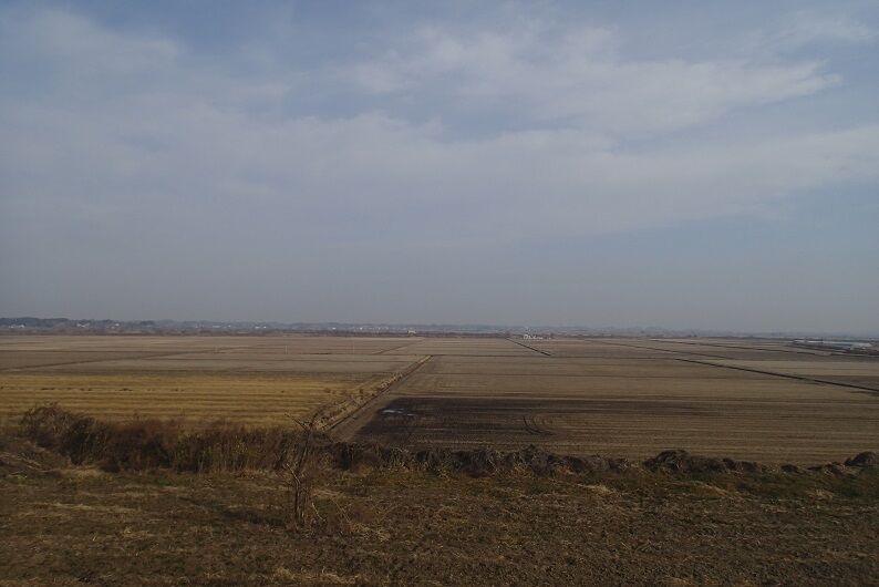 P1130018 - コピー