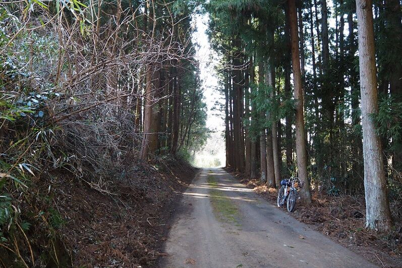 P2120023 - コピー