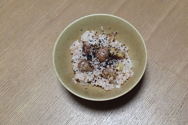 PA040002 (1) - コピー