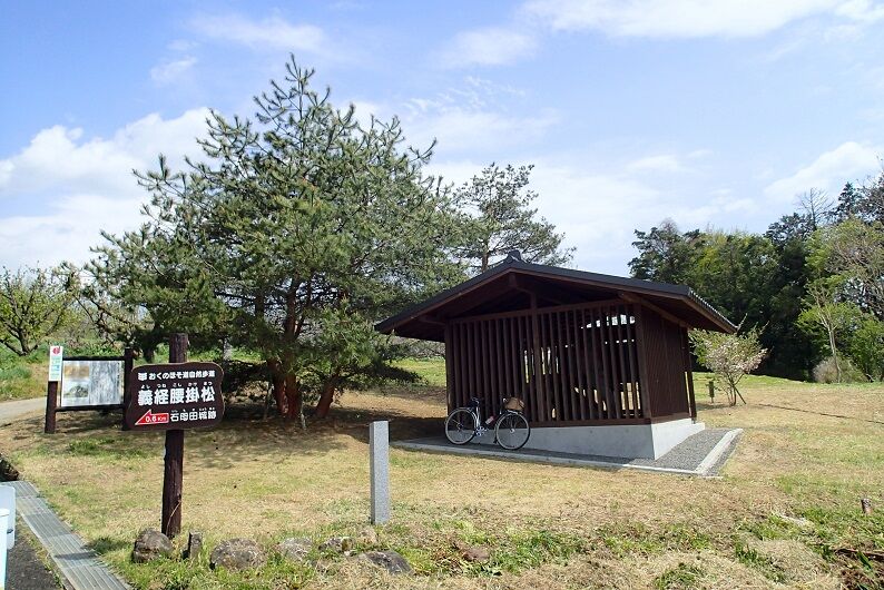 P4230094 - コピー