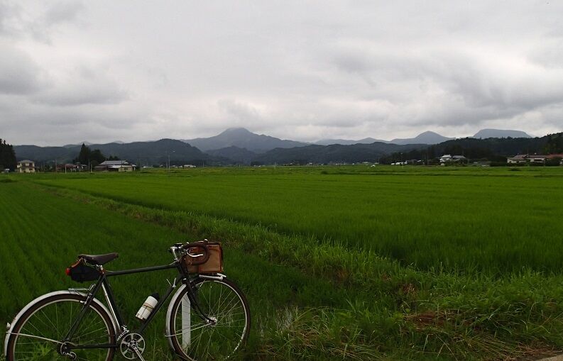 P7110005 - コピー