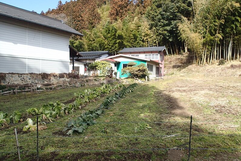 P1240036 - コピー