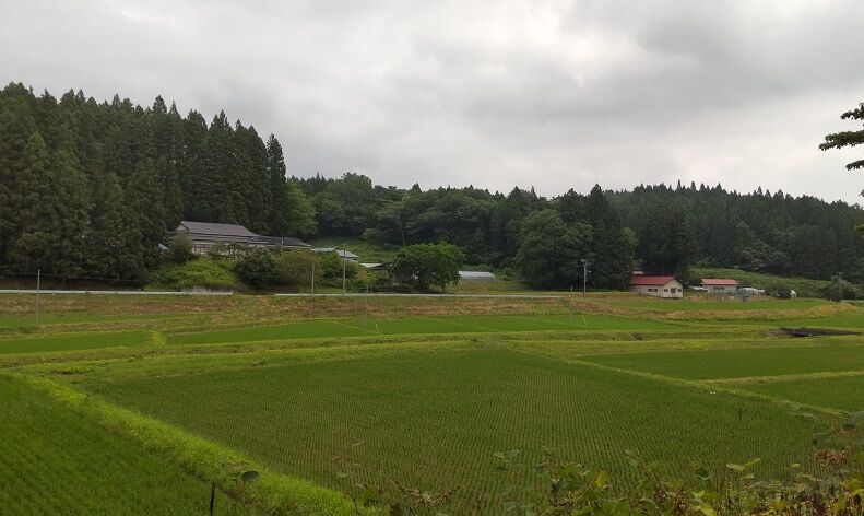 DSC_0019 - コピー