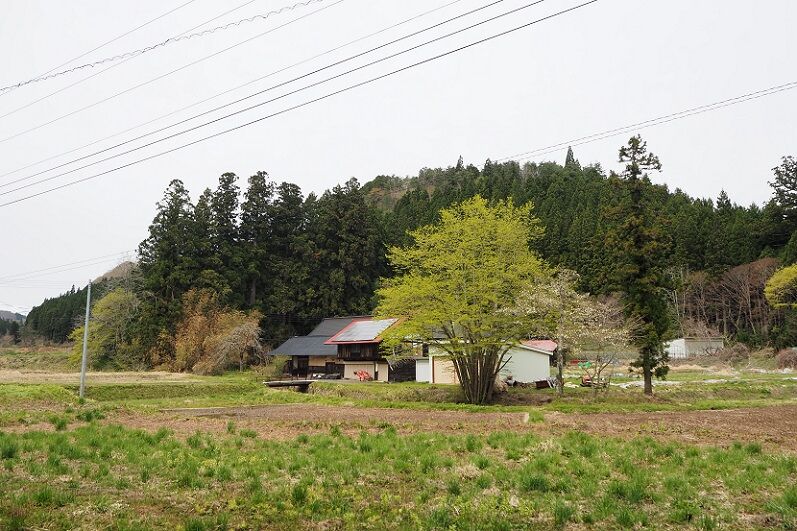 P4240095 - コピー