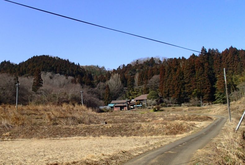内田５