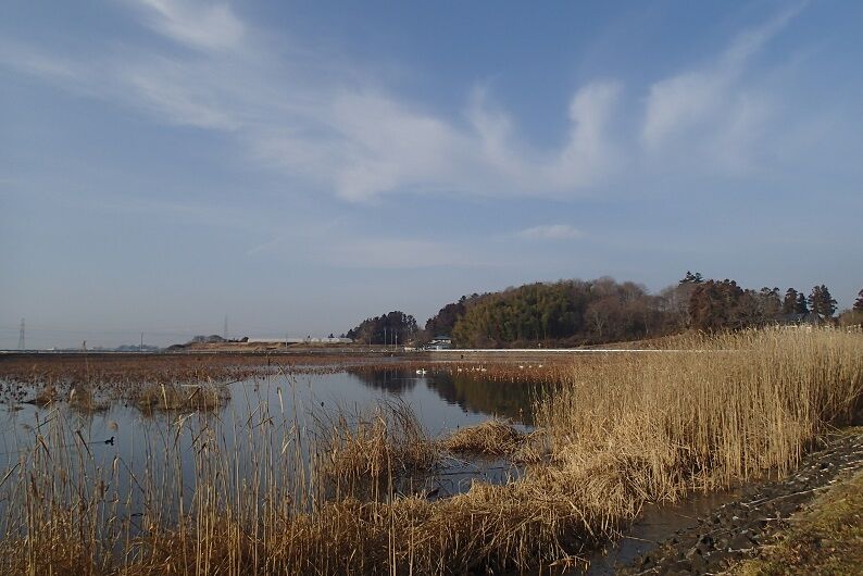 P1130010 - コピー