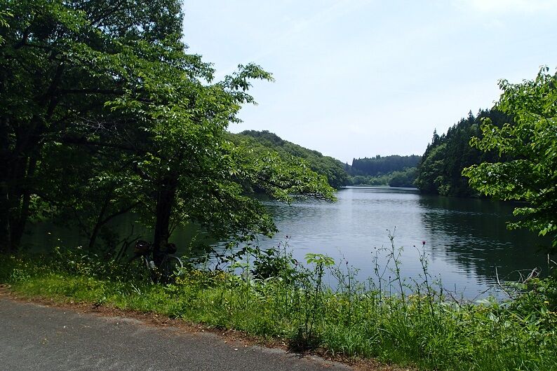 P6210035 - コピー