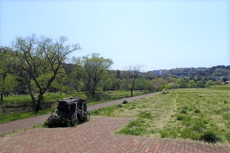 P4230066 - コピー