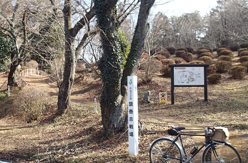 P1240021 - コピー
