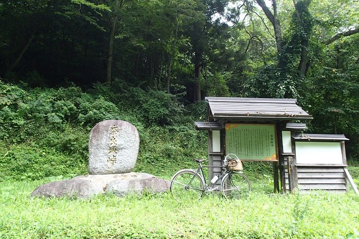 P8240024 - コピー