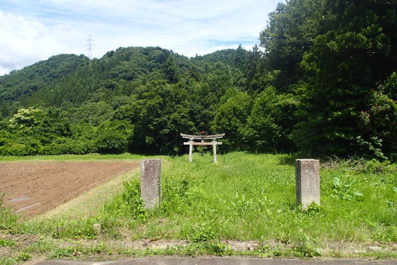 秋５