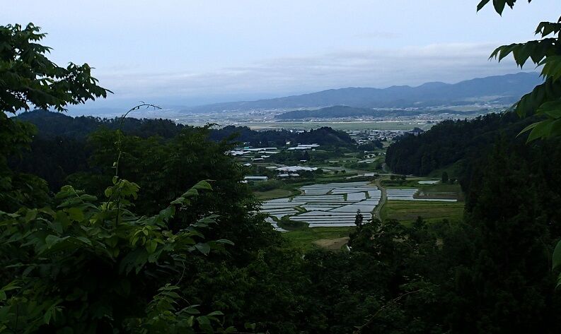 P6140022 - コピー