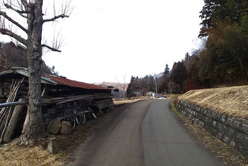 P3140074 - コピー