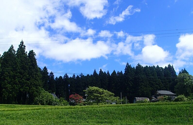 P8170093 - コピー