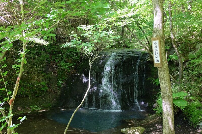 DSCF1247 - コピー