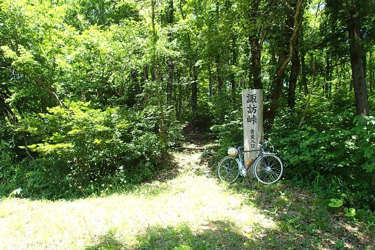 P6260080 - コピー