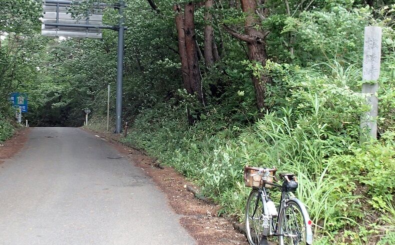 P7200009 - コピー