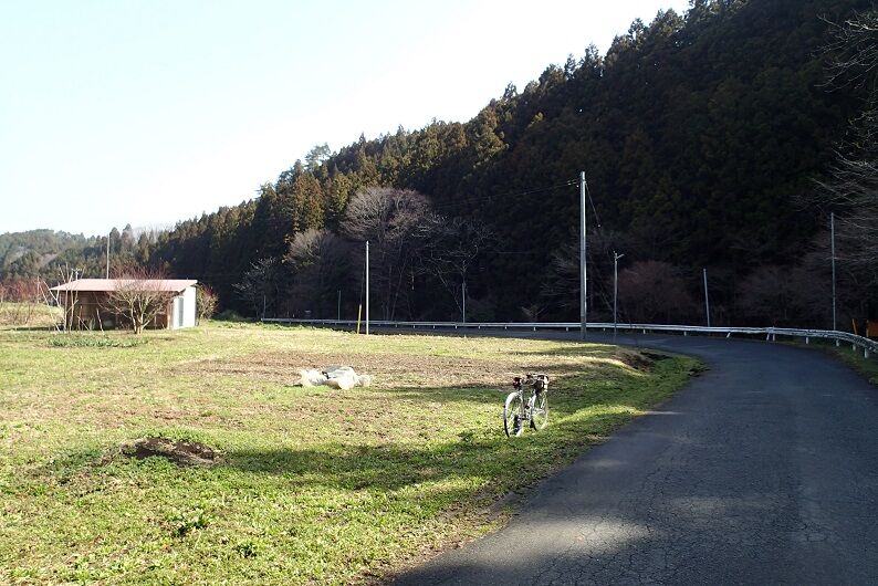 P3310036 - コピー