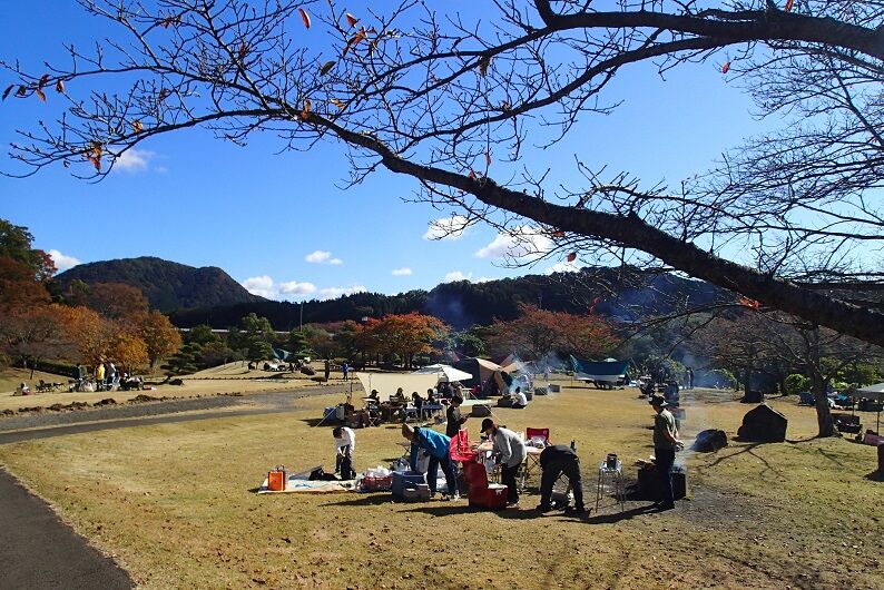 PA300062 - コピー