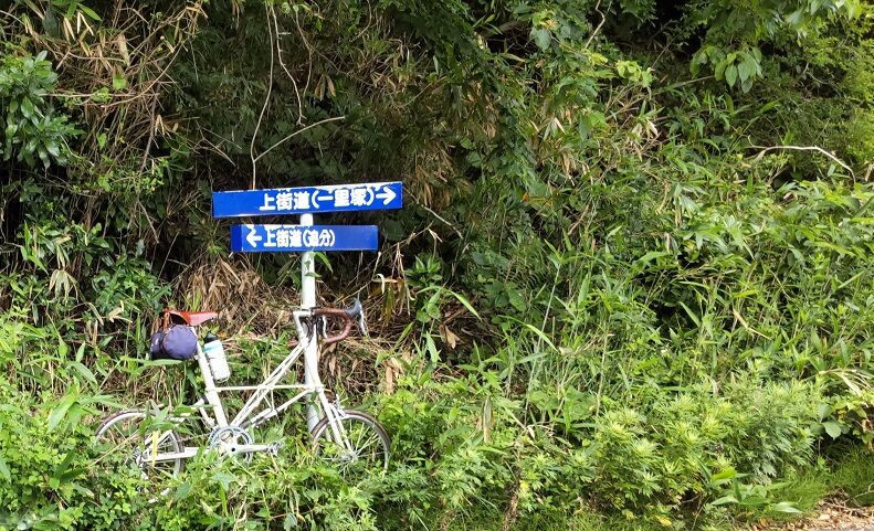 DSC_0001 - コピー