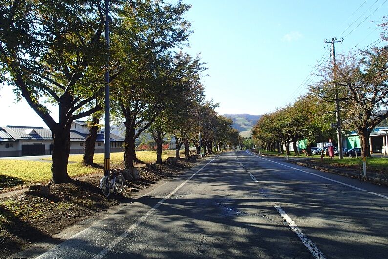 PA190002 - コピー