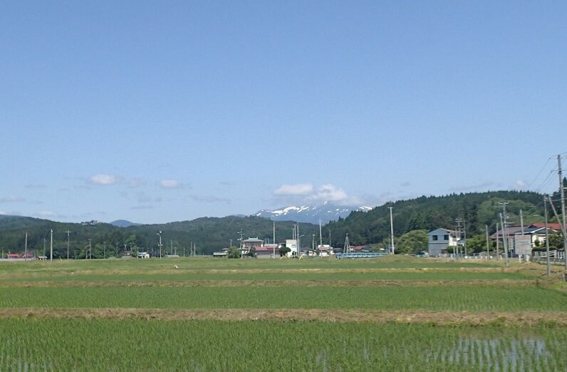 P6130004 - コピー