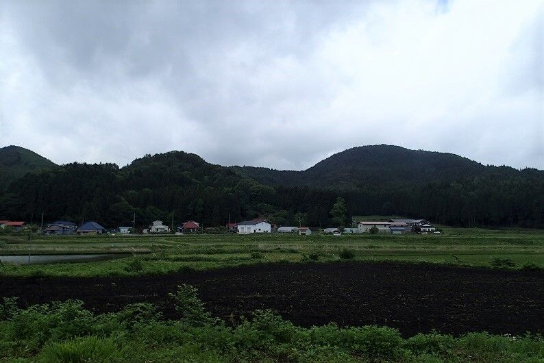 P6030017 - コピー