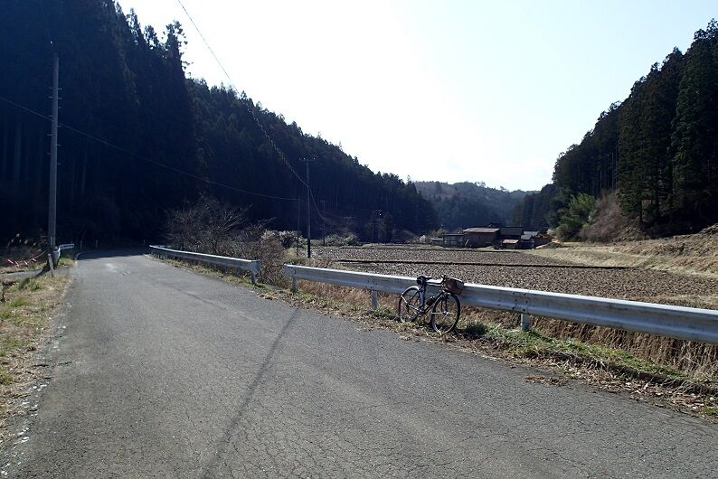 P3310045 - コピー