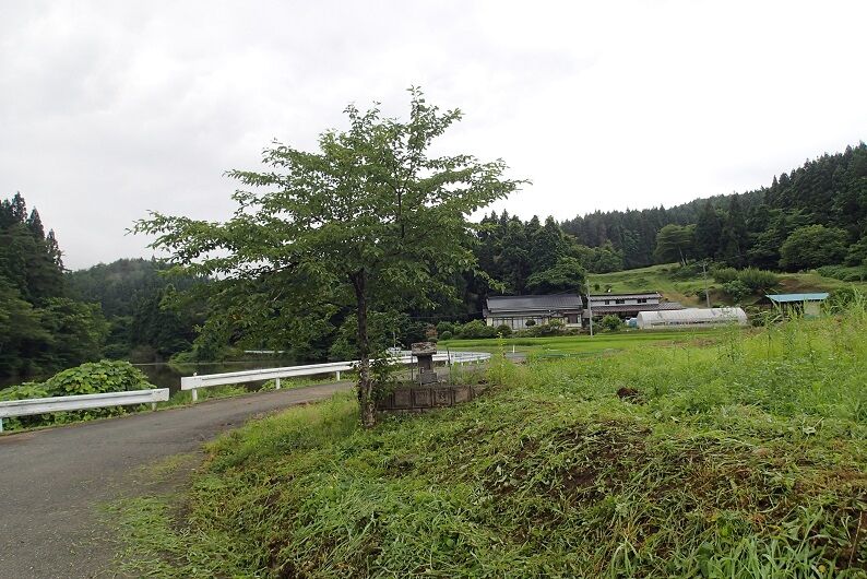 P7110026 - コピー