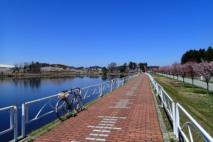 P4290151 - コピー