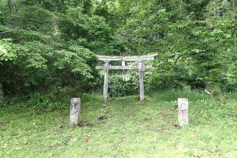 P6040004 - コピー