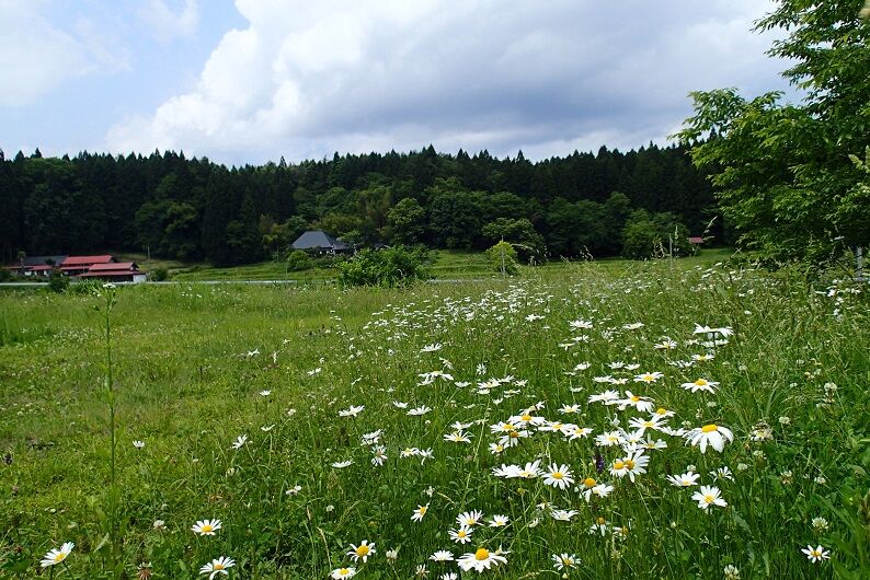 P6100112 - コピー