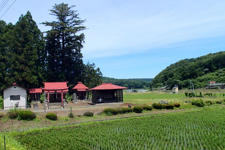 富１６