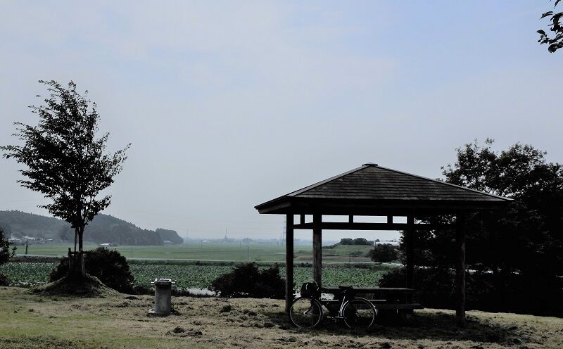 DSCF2013 - コピー