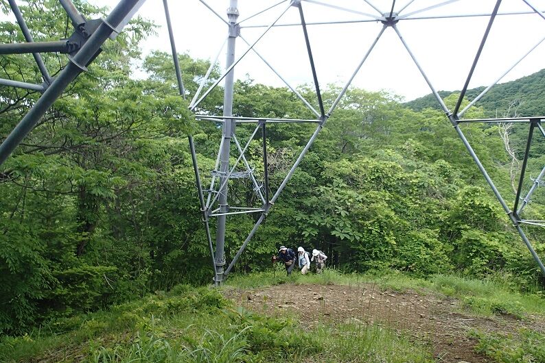 P6040042 - コピー