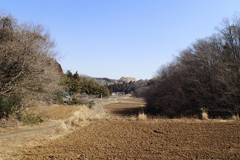 P3110027 - コピー