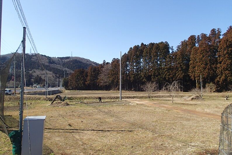 P3050025 - コピー