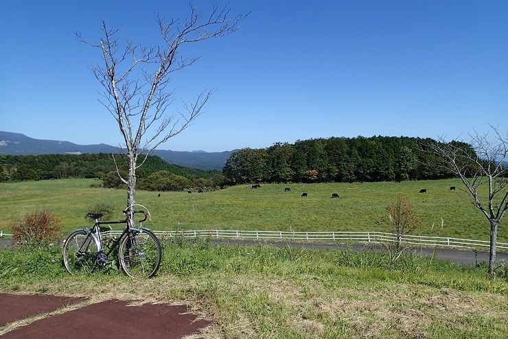 PA100055 - コピー