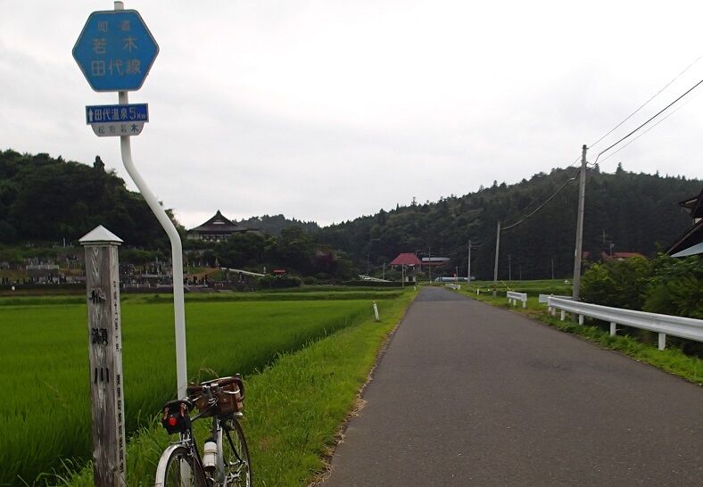 P7110010 - コピー