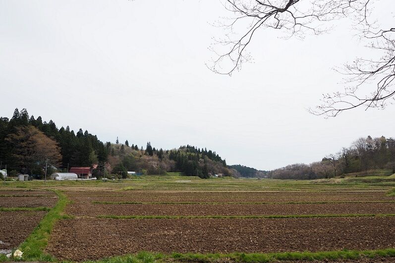 P4240033 - コピー