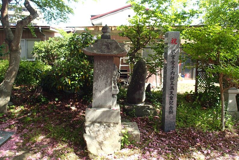 P5040005 - コピー